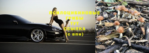 a pvp Абдулино