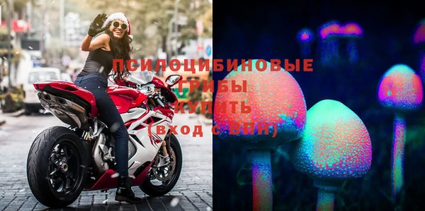 хмурый Абинск